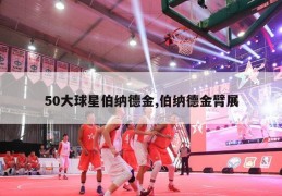 50大球星伯纳德金,伯纳德金臂展