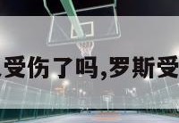 罗斯又受伤了吗,罗斯受过的伤