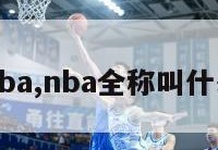 nba,nba全称叫什么