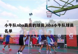 小牛队nba最高的球员,nba小牛队球员名单