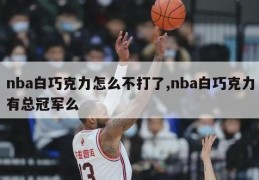 nba白巧克力怎么不打了,nba白巧克力有总冠军么