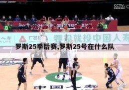 罗斯25季后赛,罗斯25号在什么队