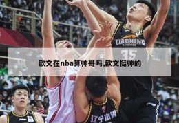 欧文在nba算帅哥吗,欧文挺帅的