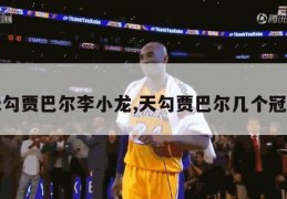 天勾贾巴尔李小龙,天勾贾巴尔几个冠军